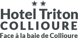 Services and facilities Hôtel** Triton Collioure